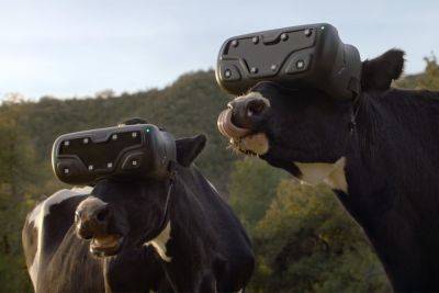 На фермах коровам будут давать VR-очки, чтобы увеличить количество молока - clutch.net.ua - Россия - Московская обл. - штат Айова - Голландия
