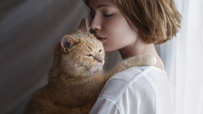 Топ-5 самых ласковых и добрых пород кошек: дарят любовь и нуждаются в нежности - clutch.net.ua