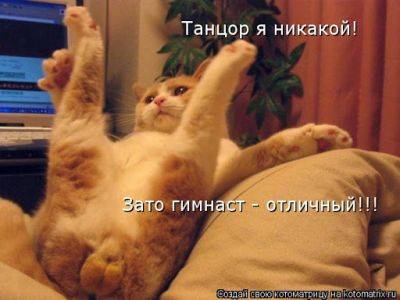 Браво, усатые: самые талантливые котики Сети (ФОТО, ВИДЕО) - clutch.net.ua