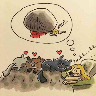 Без кота и жизнь не та: смешные комиксы о жизни с пушистым другом - clutch.net.ua