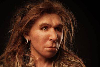 Ученые показали, как выглядел человек 1300 лет назад: фото - clutch.net.ua - Киев - Швейцария