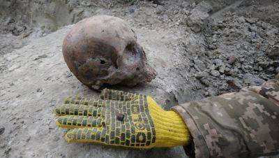 Тела под ногами: на Западной Украине археологи нашли жуткую могилу с множеством тел воинов УПА - clutch.net.ua - Украина - Винницкая обл. - Абу-Даби - Иран
