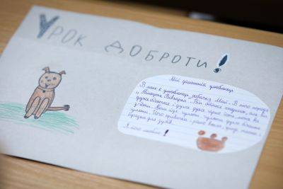 Уроки доброты для детей – в помощь бездомным животным - clutch.net.ua - Украина