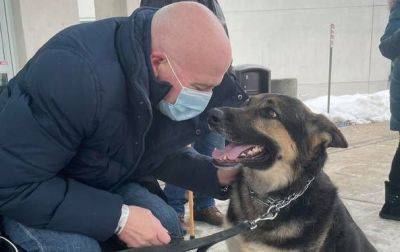 До слез: "проблемная" собака из приюта спасла жизнь своему хозяину — подробности - clutch.net.ua - штат Нью-Джерси
