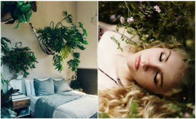 5 комнатных цветов, которые выделяют кислород ночью: залог крепкого сна и хорошего отдыха - clutch.net.ua