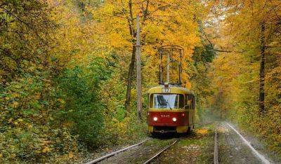 Самые красивые киевские парки осенью: ТОП-5 - clutch.net.ua - Киев