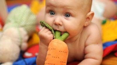 Когда можно вводить морковь в прикорм грудничку? - beauty-lady.com.ua