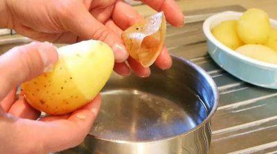 Как быстро почистить картошку в мундирах: 7 простых шагов - beauty-lady.com.ua