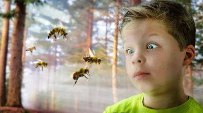 Как помочь ребенку побороть страх перед мелкими насекомыми? - beauty-lady.com.ua