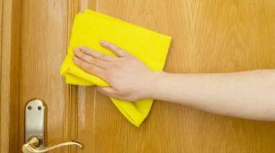 Как почистить шпонированную дверь? Советы по уходу - beauty-lady.com.ua