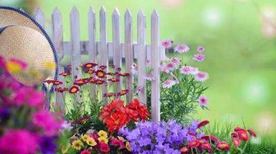 Какие цветы посадить в саду на даче? - beauty-lady.com.ua