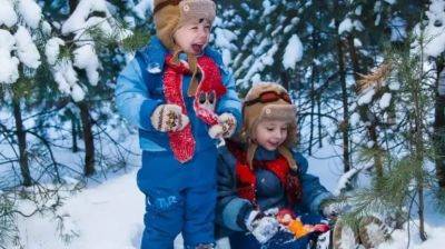 Куда пойти погулять с ребёнком зимой? - beauty-lady.com.ua