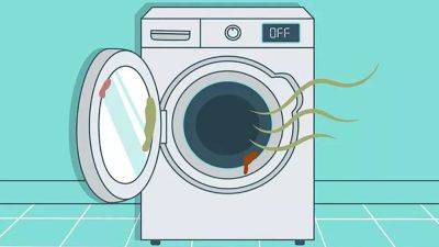 Мойте стиральную машинку раз в месяц: почему это так важно делать - korisno.24tv.ua
