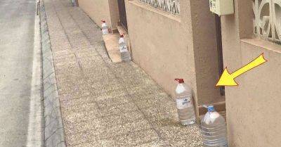Вы ни за что не догадаетесь, зачем испанцы оставляют воду в бутылках возле своих домов. Это поразительно! - leprechaun.land - Испания - Токио - Это