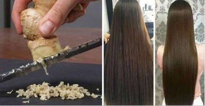 Секрет густых волос: всего 3 компонента помогут отрастить роскошные волосы! - leprechaun.land