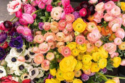 Любовь на Языке Цветов: Какие Цветы Дарят в Оттаве чтобы Выразить Свои Чувства - interesnoznat.com - Канада - Оттава