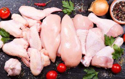 Что дешевле покупать - куриную грудку или бедро: известно, где больше мяса - hochu.ua