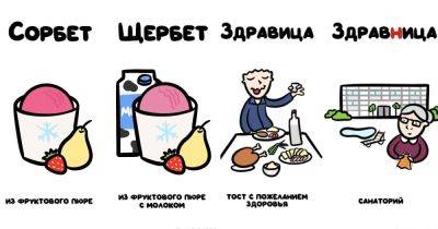 18 забавных иллюстраций проекта «не перепутай», которые помогают не запутаться в лингвистических трёх соснах - twizz.ru