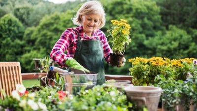 Садоводство положительно влияет на ваше здоровье: что об этом нужно знать - korisno.24tv.ua
