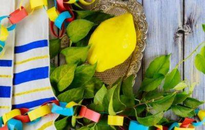 Суккот: традиции праздника и что нельзя делать в этот период - hochu.ua - Украина - Египет
