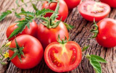 Твердые белые прожилки в спелых томатах: ошибки при выращивании - hochu.ua