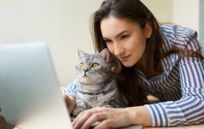 Лапы прочь! Как отвадить от ноутбука кота, который обожает на нем чилить - hochu.ua