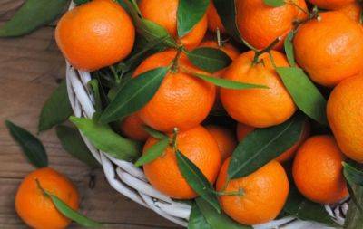 Как купить самые сладкие мандарины: настоящие признаки спелых фруктов - hochu.ua