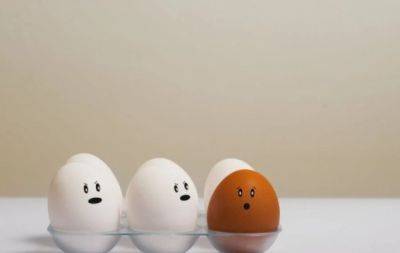 Возьмите фонарик: лучшие способы определить свежесть яиц в вашем холодильнике - hochu.ua