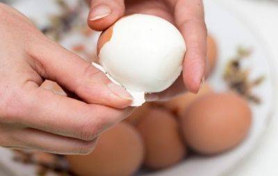 Мало кто знает: как правильно варить яйца, чтобы они идеально чистились - hochu.ua