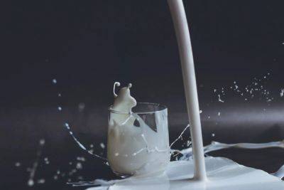 Обезжиренные молочные продукты: искусный маркетинг или действительно большая польза для здоровья - vikna.tv - Сша - New York