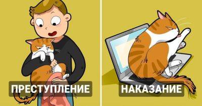 13 жизненных комиксов, в которых любой кот узнает себя (и своего человека) - twizz.ru