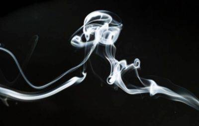 Начинаем 2024 год без курения: у ученых есть хорошие новости! - hochu.ua - Аргентина - Болгария