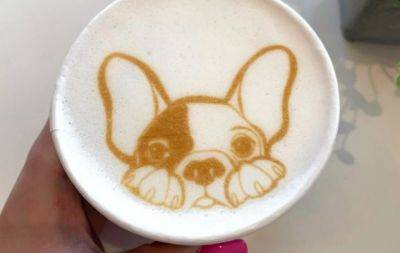 Рисуем на кофе: красивые идеи картинок в чашке (ВИДЕО) - hochu.ua