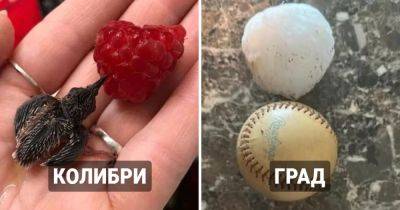 17 удивительных фотографий, которые показывают неожиданные сравнения разных вещей - twizz.ru