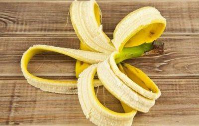 Даже отходы бывают полезны: как из кожуры банана приготовить суперудобрение для комнатных растений - hochu.ua