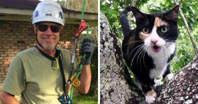 Кот пенсионера застрял на дереве, помочь было некому. Тогда хозяин сам занялся альпинизмом, и вот уже 4 года спасает котиков - leprechaun.land - штат Луизиана
