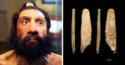 В сети рассказали об инструменте, который был создан 50 тысяч лет назад. Но используется по сей день - leprechaun.land