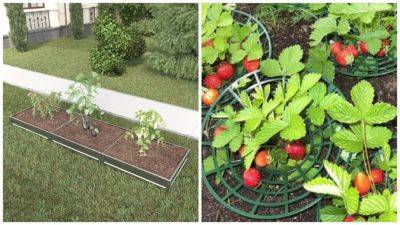 11 находок с Wildberries для садоводов и огородников - krasotka.cc