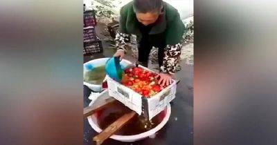 Каким образом красят клубнику, яблоки и баклажаны в Китае - leprechaun.land - Китай