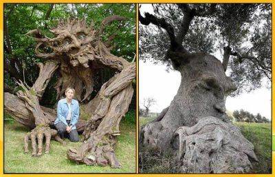 24 фантастических фото деревьев, которые выглядят словно герои сказок и мульфильмов! - leprechaun.land
