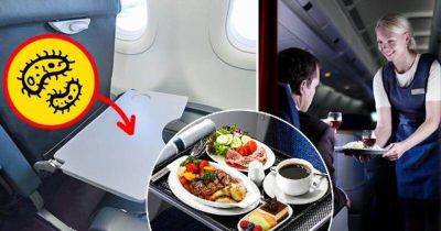 С собой не брать. Ошибки с едой на борту самолета, способные испортить ваш полет - leprechaun.land