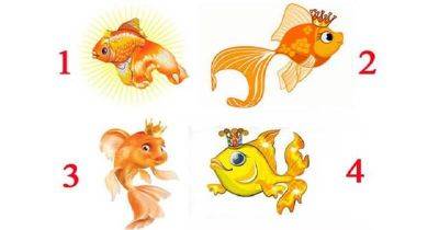 Выбирайте одну из этих Золотых рыбок, и узнаете когда исполнится ваша заветная мечта! - leprechaun.land