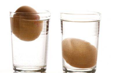 Вам понадобится только стакан воды: как проверить свежесть яиц в домашних условиях - hochu.ua