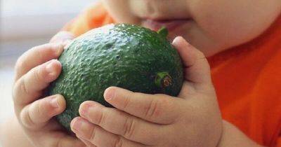 5 причин, по которым вы обратите внимание на авокадо и 5 вкусных рецептов с ним - leprechaun.land