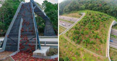 20 потрясающих мостов, которые спасают тысячи жизней ежегодно - leprechaun.land - Сша - Франция - Германия - Австралия - Бразилия - Япония - Англия - Канада - Финляндия - Кения - Новая Зеландия - Сингапур - штат Колорадо - Виктория - Голландия - штат Нью-Джерси