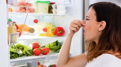 Как избавиться от запаха из холодильника - e-w-e.one
