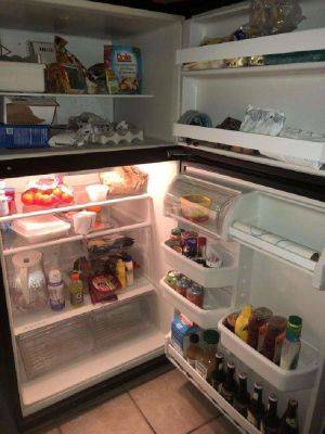 Лига детективов: пользователи сети угадывают владельцев холодильников по фоткам их содержимого - leprechaun.land - штат Флорида - штат Джорджия - республика Коми