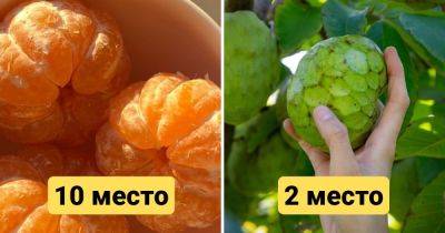 Учёные назвали 11 самых питательных продуктов в мире, которые по своей сути – чистая энергия - twizz.ru