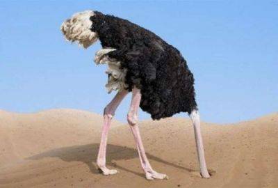 Правда ли, что страусы прячут голову в песок - leprechaun.land